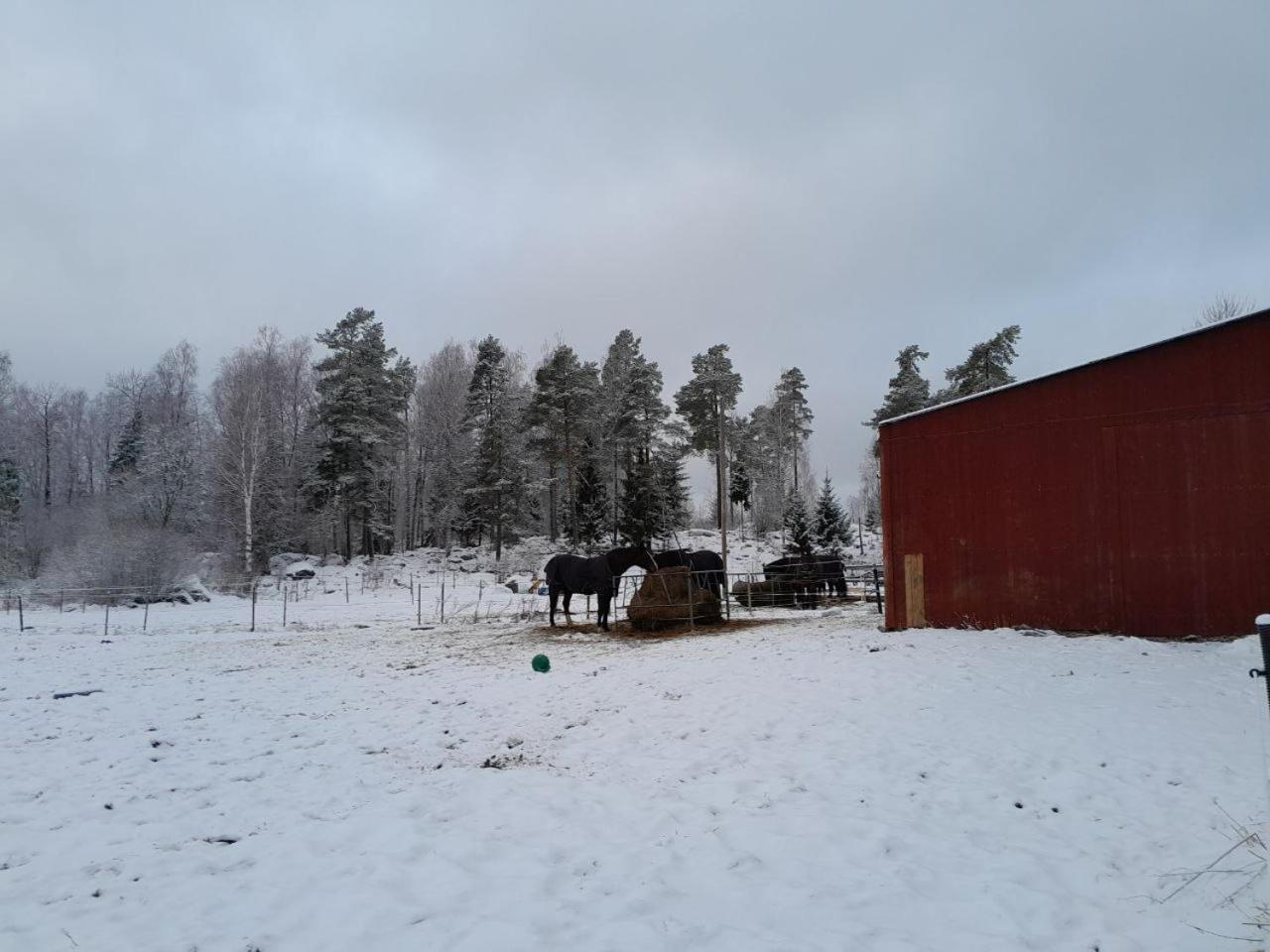 Lotta's Semesterbostad *