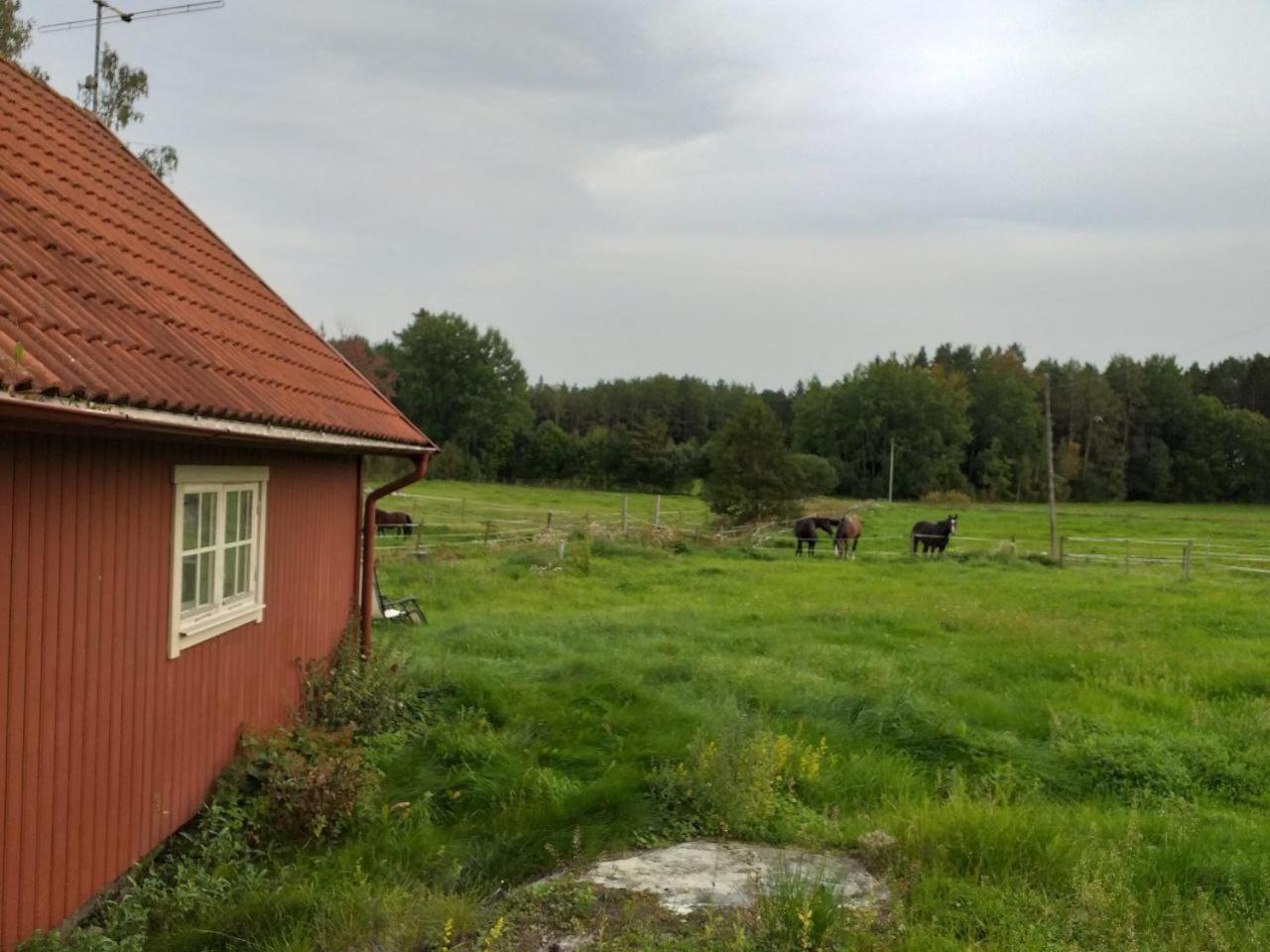 Lotta's Rimbo